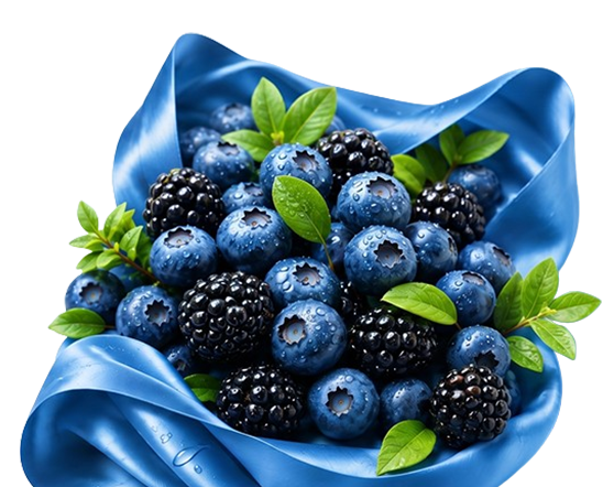 БЕРРИ / BERRY