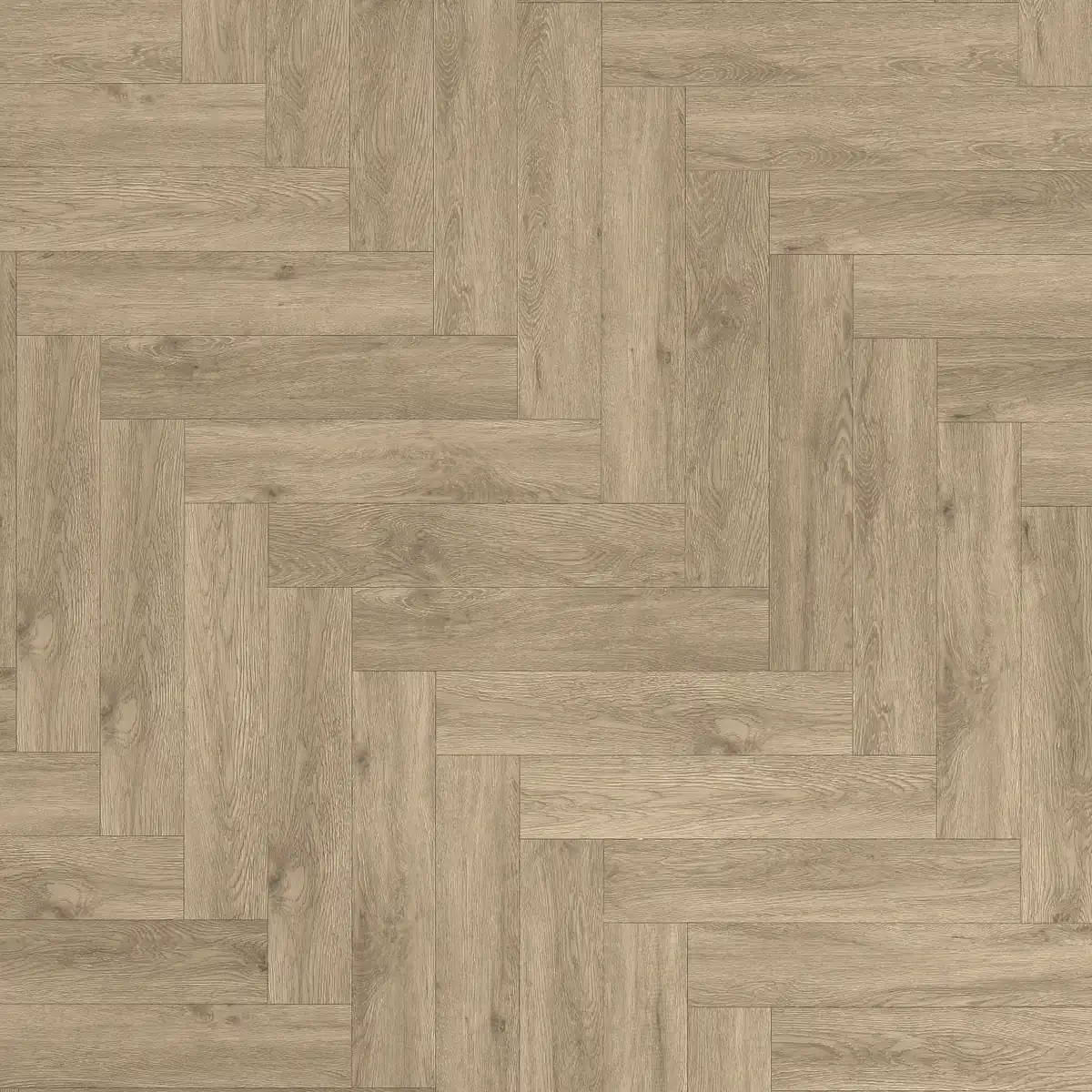PL-307 UZ  Дуб Бове/Oak Bouvet