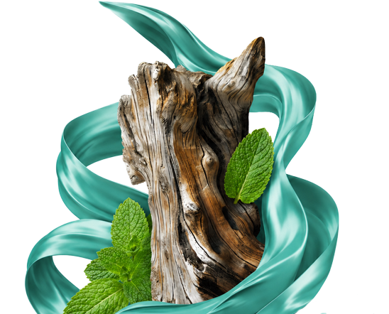 МИНТ / MINT