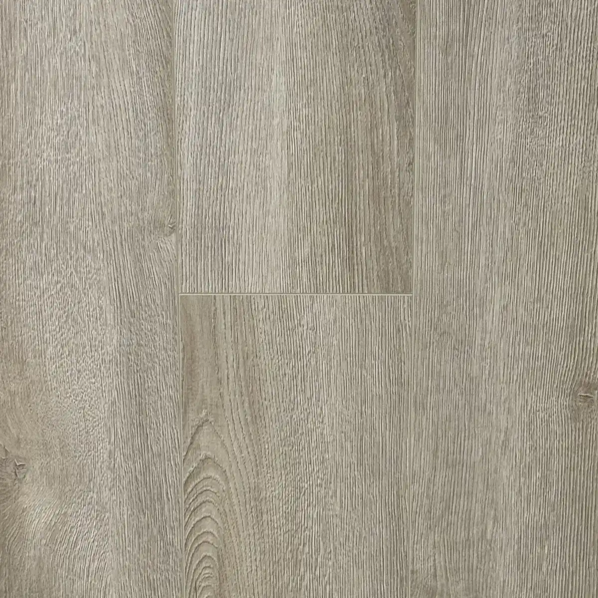 AQ-15 Дуб Америго/ Oak Amerigo
