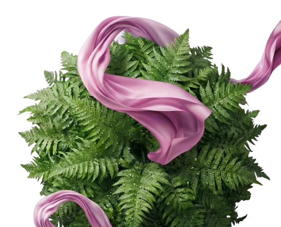 ПЁРПЛ / PURPLE