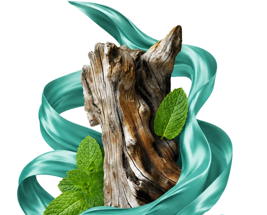 МИНТ / MINT